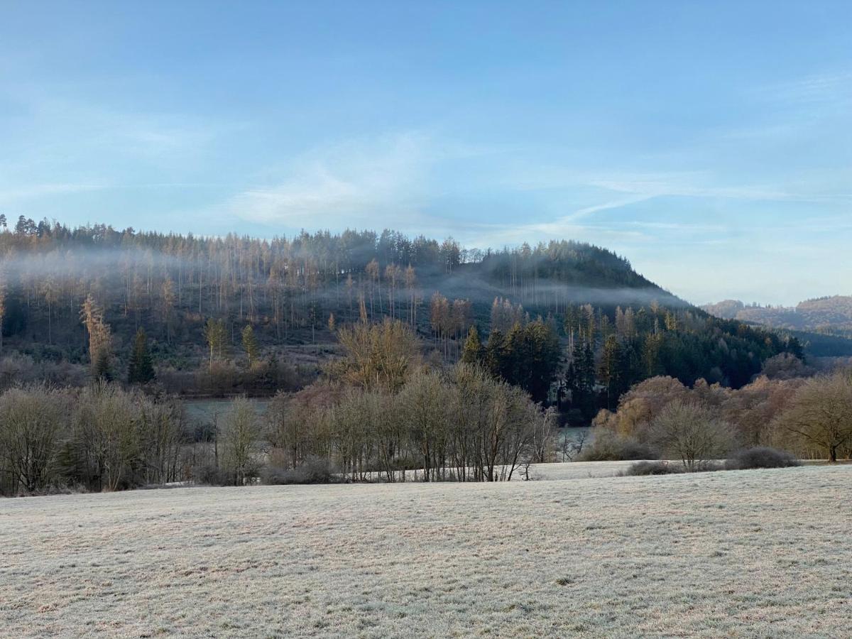 Wohlfuhlwohnung Medebach Buitenkant foto